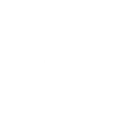 bmg