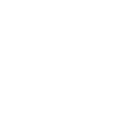 master
